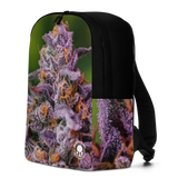 Bud Backpack