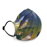 Rainbow Leaf Premium Face Mask